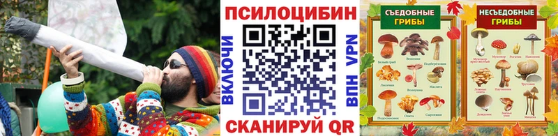 Псилоцибиновые грибы мицелий наркота Подольск